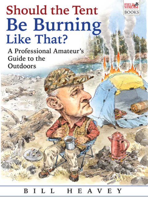 Cover image for book Should the Tent Be Burning Like That?
