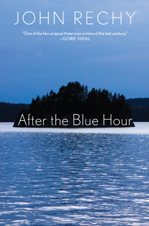 Cover image for book After the Blue Hour