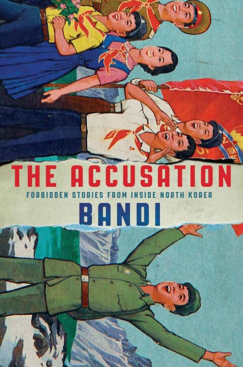 Cover image for book The Accusation