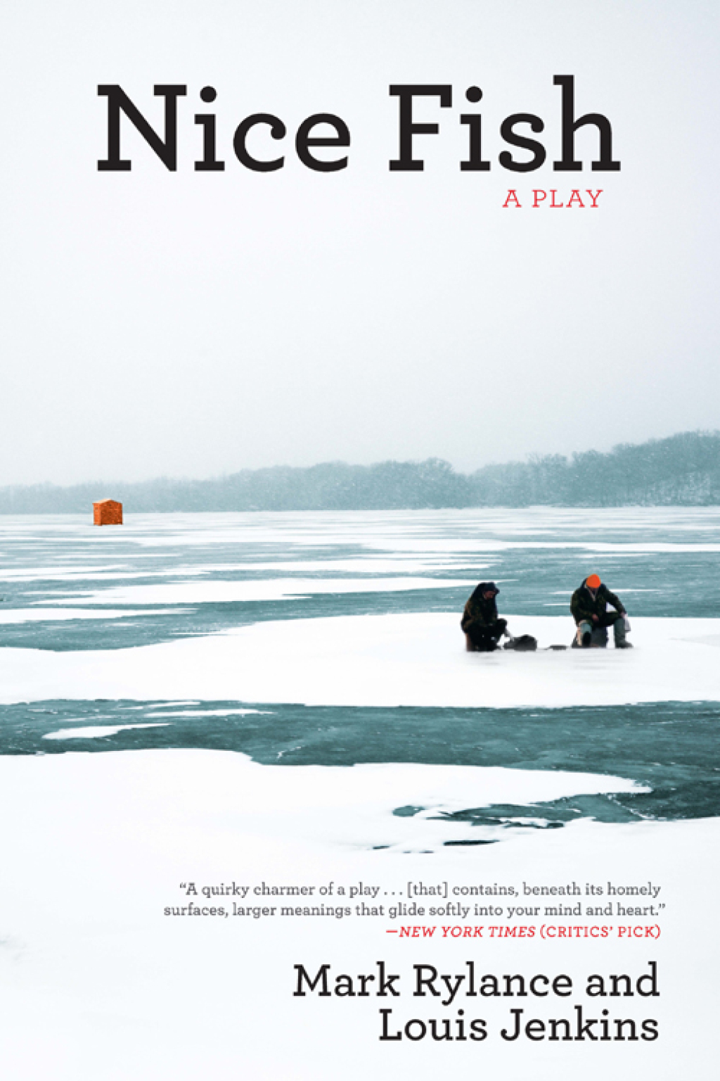 Nice Fish (eBook)