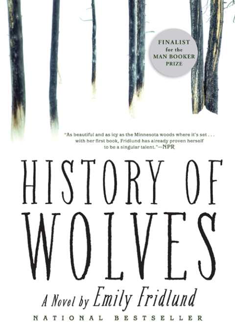 Cover image for book History of Wolves