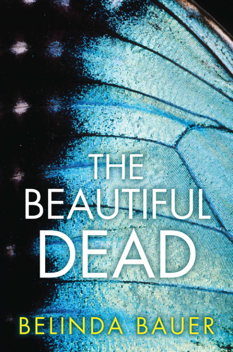 Cover image for book The Beautiful Dead