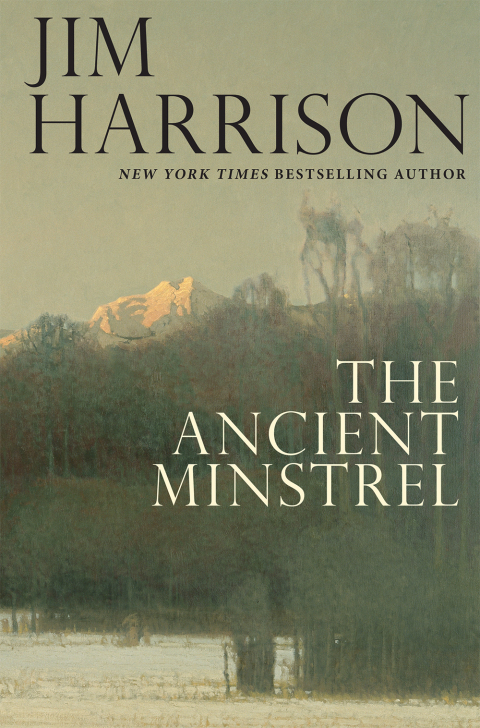 Cover image for book The Ancient Minstrel