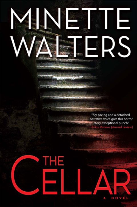 Cover image for book The Cellar