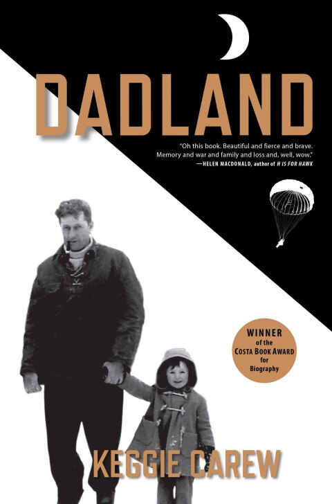 Cover image for book Dadland