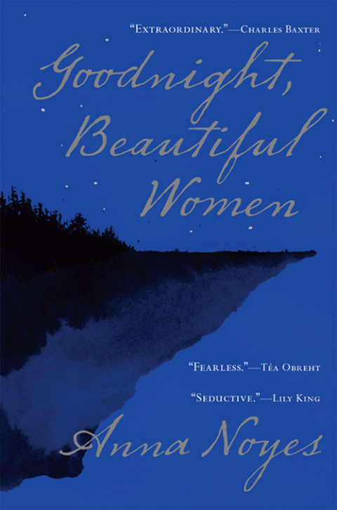 Cover image for book Goodnight, Beautiful Women