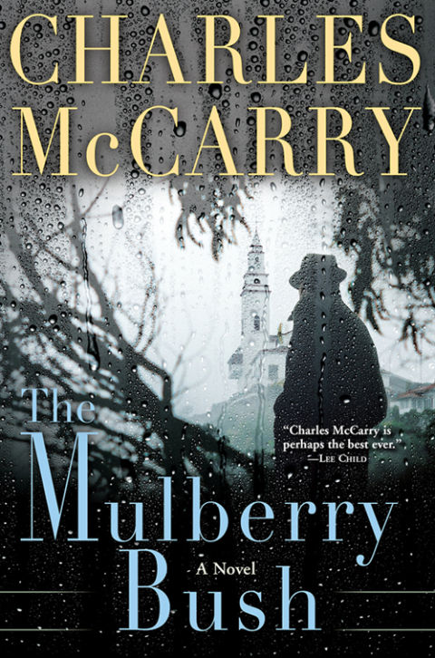 Cover image for book The Mulberry Bush