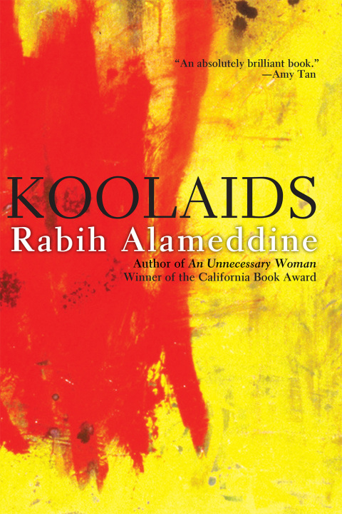Cover image for book Koolaids