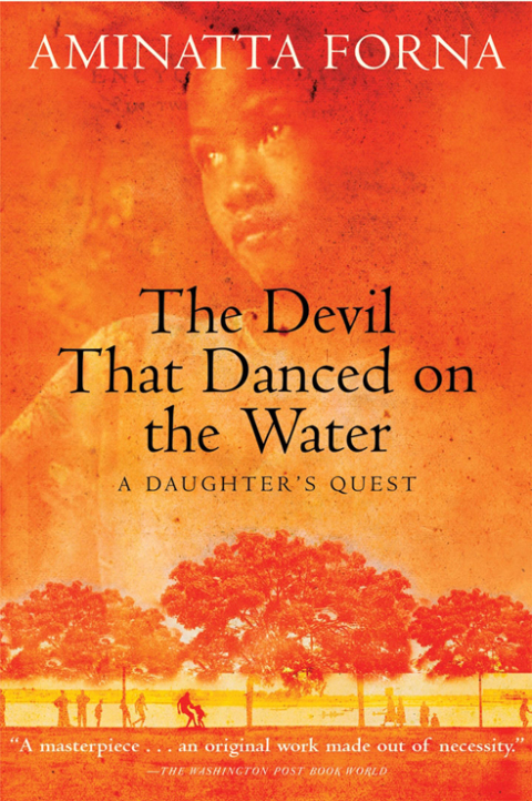 Cover image for book The Devil That Danced on the Water
