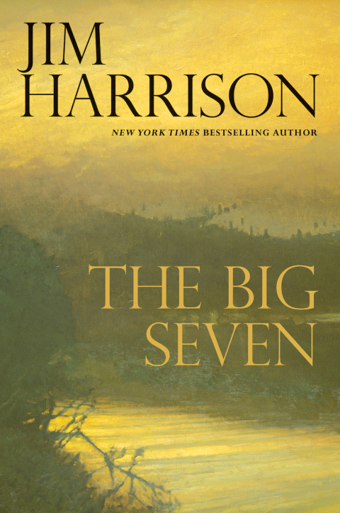 Cover image for book The Big Seven