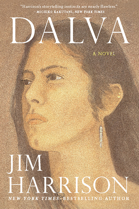 Cover image for book Dalva