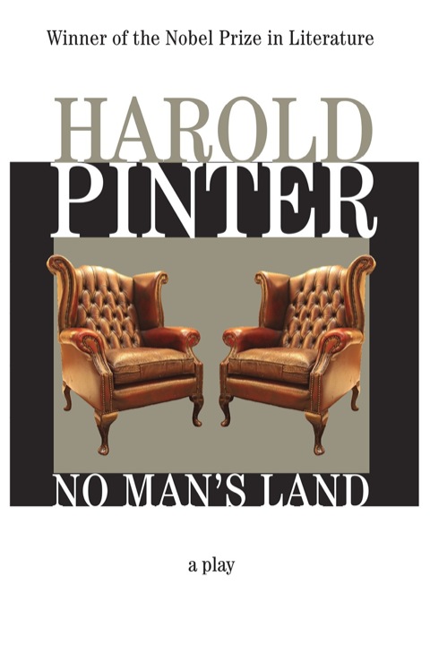 Cover image for book No Man's Land