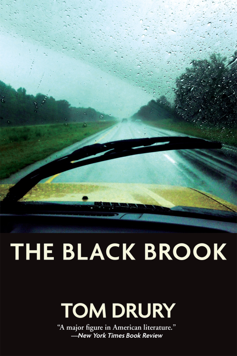 Cover image for book The Black Brook