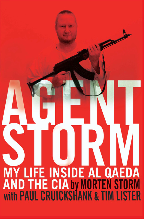 Cover image for book Agent Storm