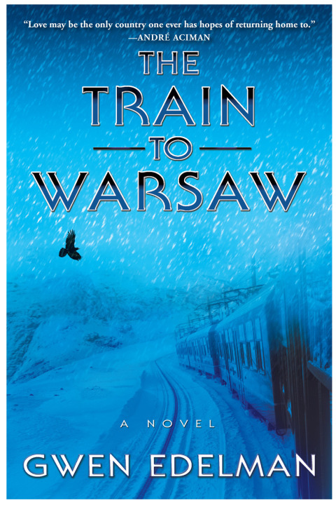 Cover image for book The Train to Warsaw