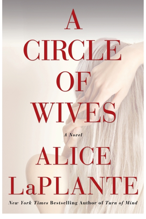 Cover image for book A Circle of Wives