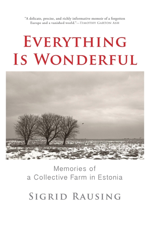 Cover image for book Everything Is Wonderful