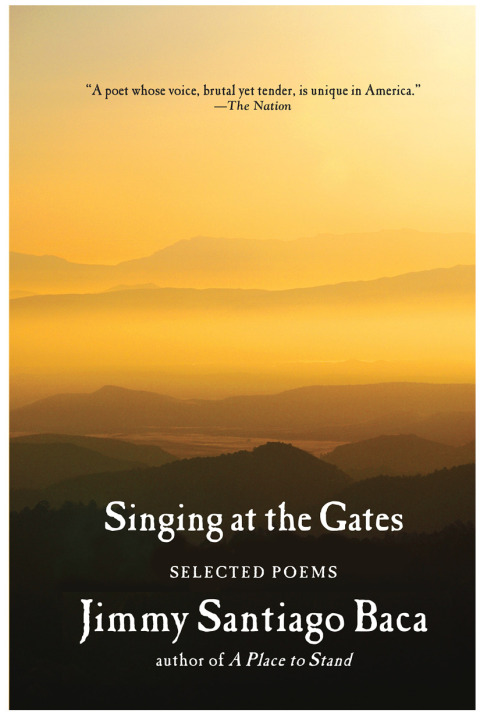 Cover image for book Singing at the Gates