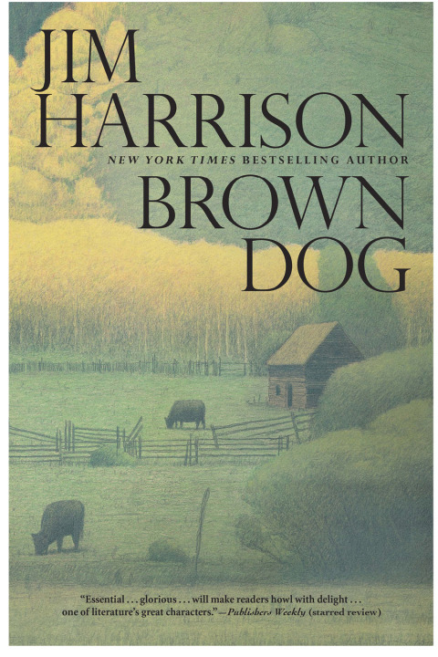 Cover image for book Brown Dog