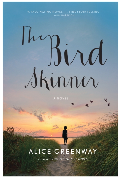 Cover image for book The Bird Skinner