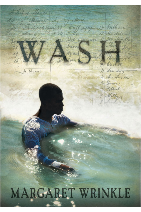 Cover image for book Wash