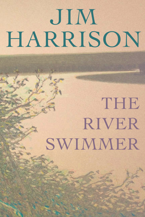The River Swimmer