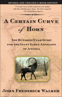 Cover image: A Certain Curve of Horn 9780802140685