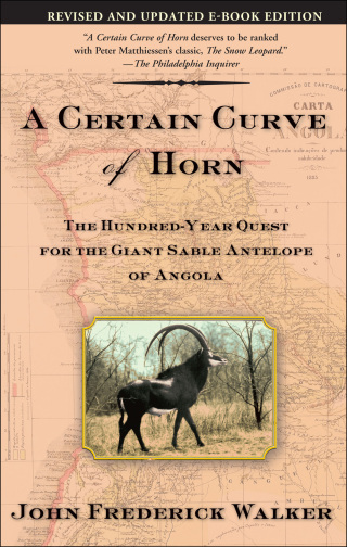 A Certain Curve of Horn