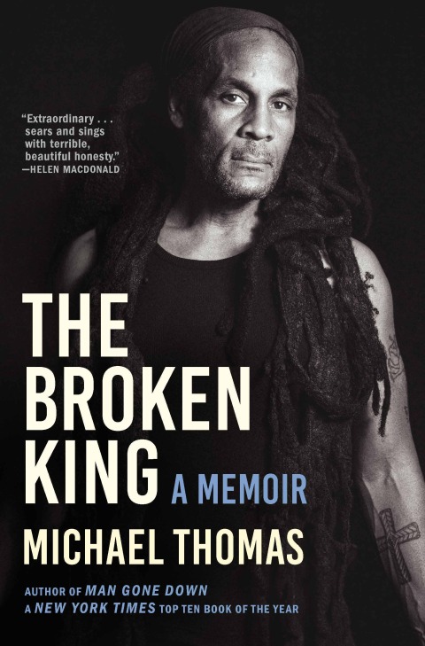 Cover image for book The Broken King