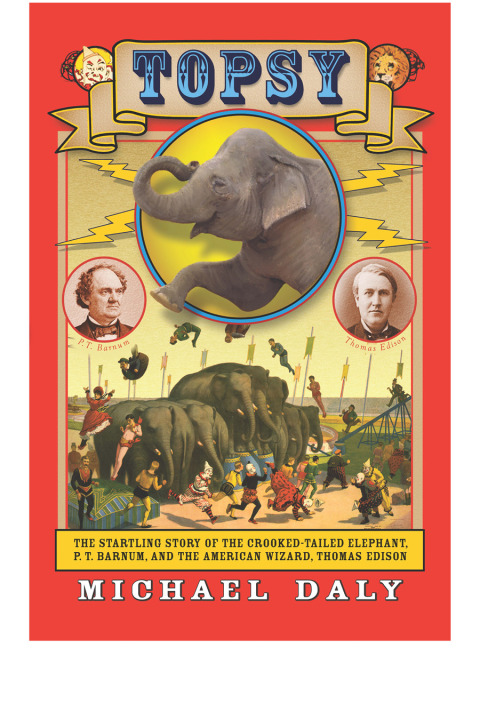 Cover image for book Topsy