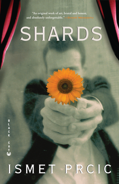 Cover image for book Shards