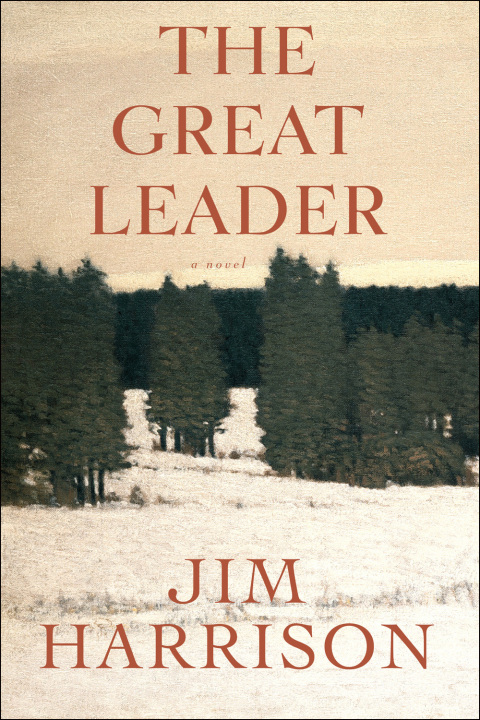 Cover image for book The Great Leader