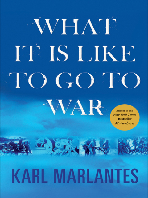 Cover image for book What It Is Like to Go to War