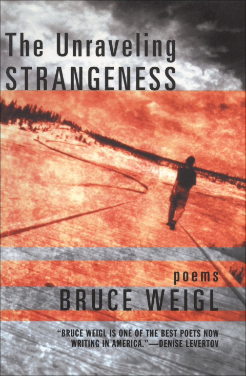 Cover image for book The Unraveling Strangeness