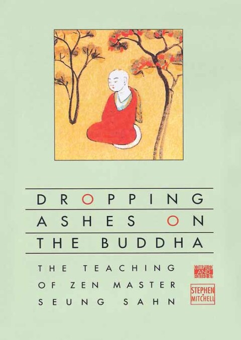 Cover image for book Dropping Ashes on the Buddha