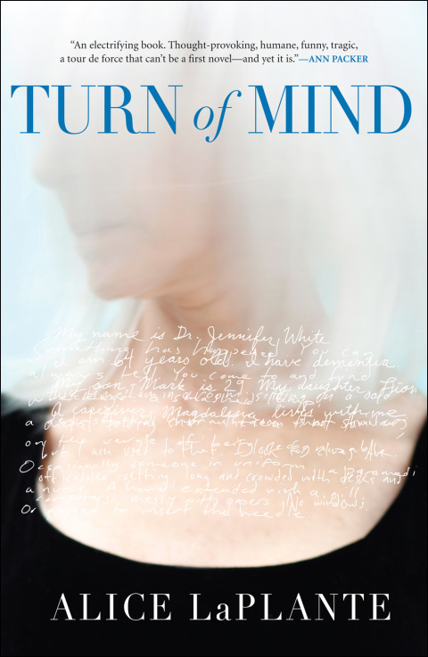 Cover image for book Turn of Mind