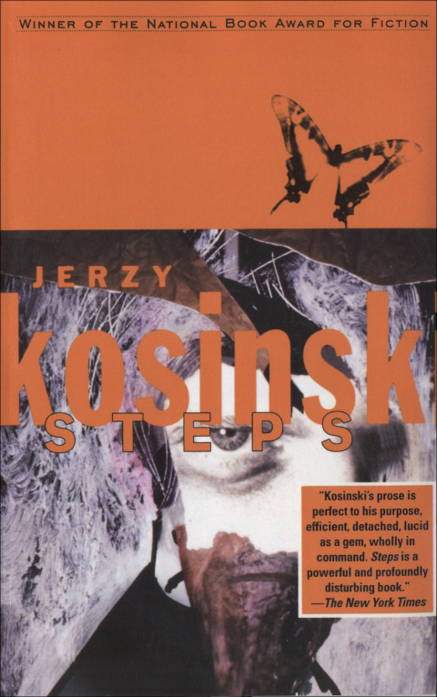 Cover image for book Steps