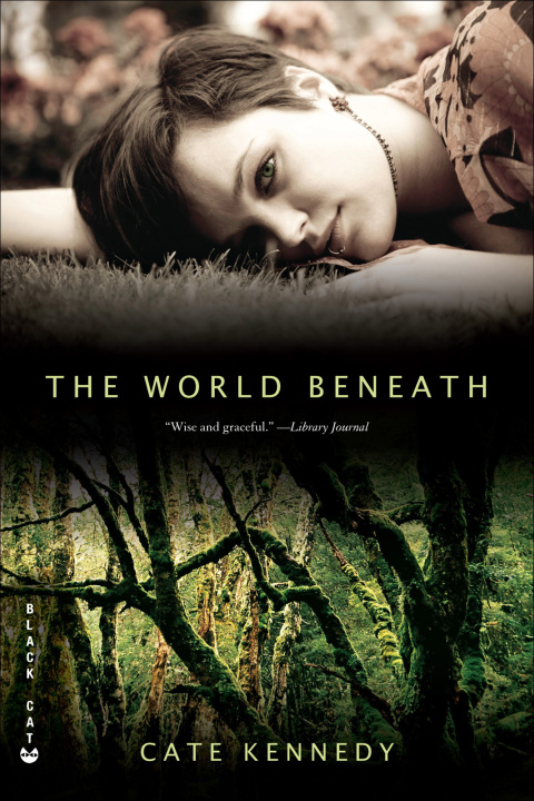 Cover image for book The World Beneath