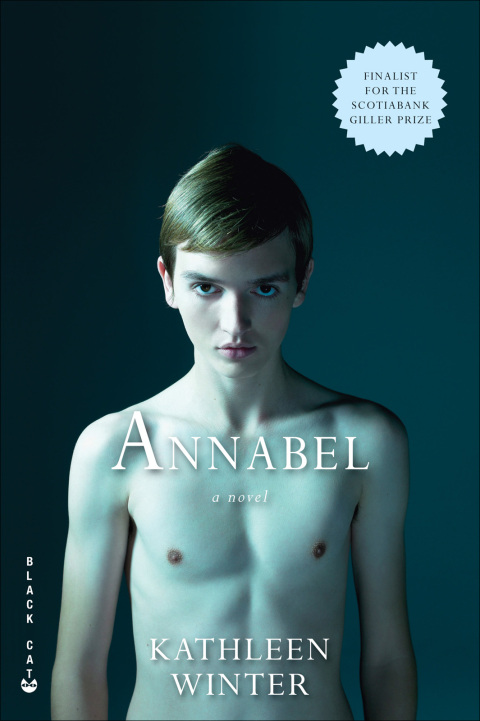Cover image for book Annabel