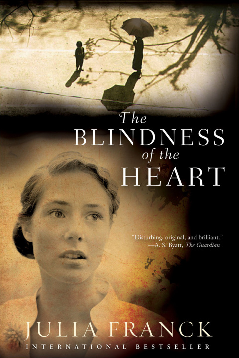 Cover image for book The Blindness of the Heart