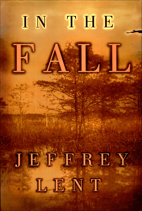 Cover image for book In the Fall