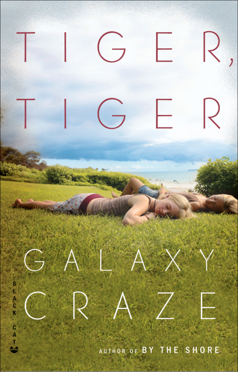 Cover image for book Tiger, Tiger