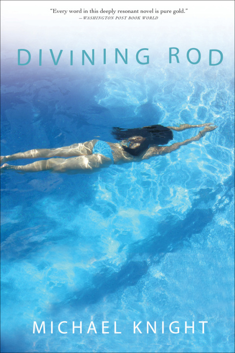 Cover image for book Divining Rod