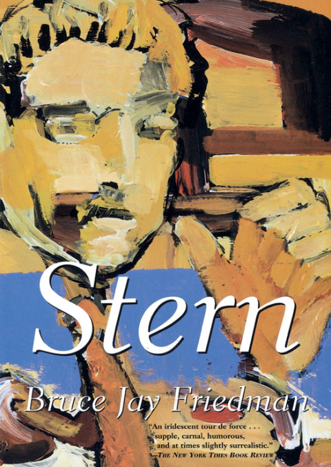 Cover image for book Stern