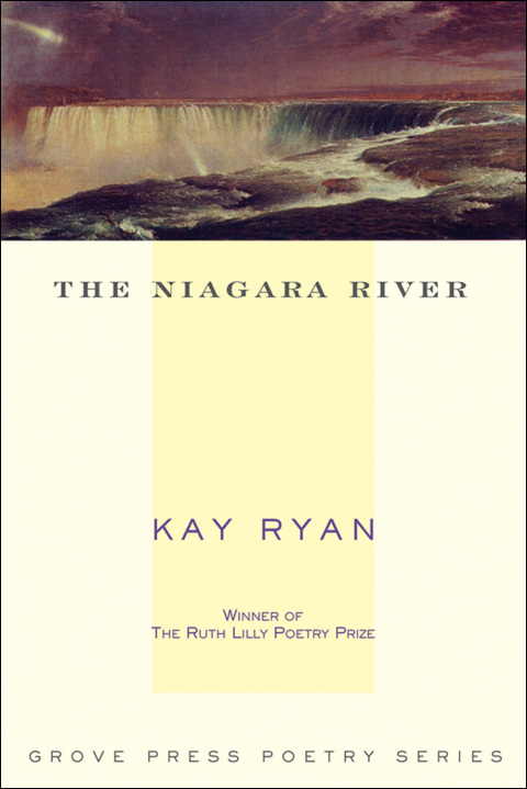 The Niagara River 
