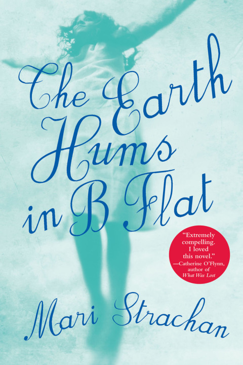 Cover image for book The Earth Hums in B Flat