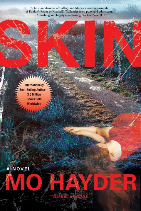 Cover image for book Skin