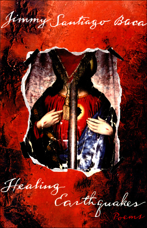 Cover image for book Healing Earthquakes
