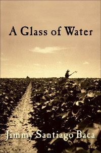 Cover image: A Glass of Water 9780802198921