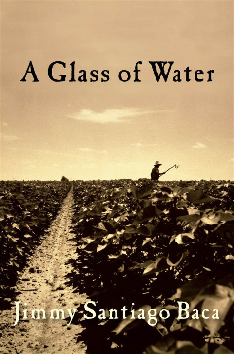 Cover image for book A Glass of Water